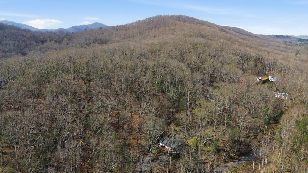 321 Hamilton Road Blairsville, GA 30512 - Photo 5 of 43