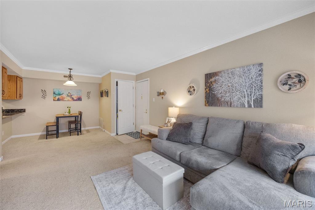 425 South Geyer Road, Unit G Kirkwood, MO 63122 - Photo 9 of 24