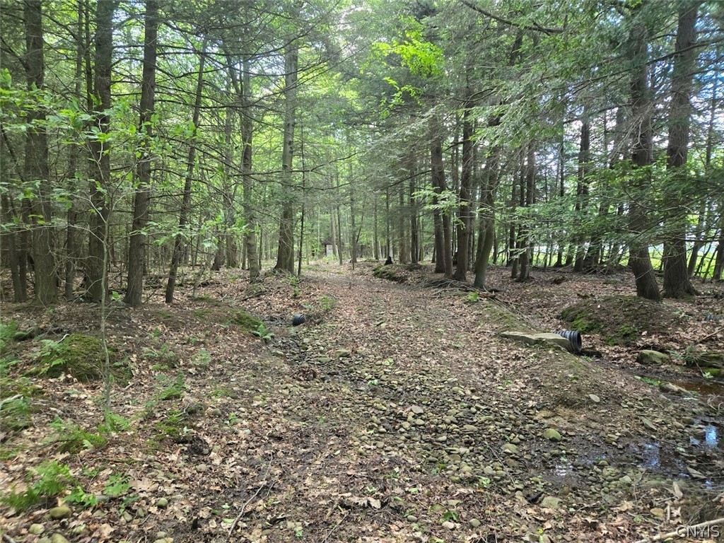 7988 Dowd Road Pike, NY 14735 - Photo 36 of 37