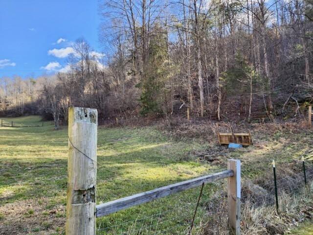 236 Garrison Hollow Road Elizabethton, TN 37643 - Photo 86 of 101 86