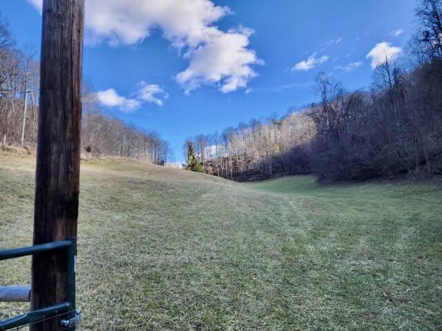 236 Garrison Hollow Road Elizabethton, TN 37643 - Photo 97 of 101 97