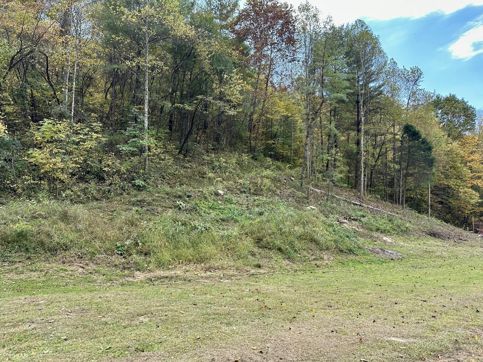236 Garrison Hollow Road Elizabethton, TN 37643 - Photo 100 of 101 100