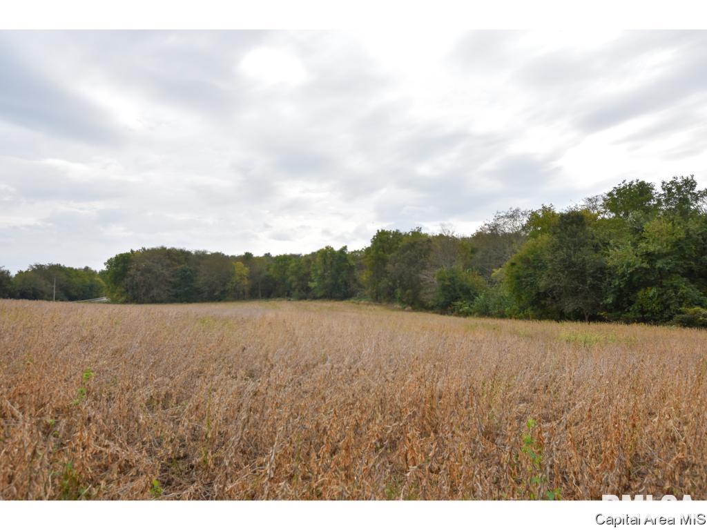 97 State Route Pleasant Plains, IL 62677 - Photo 3 of 4 Gallery Image 3