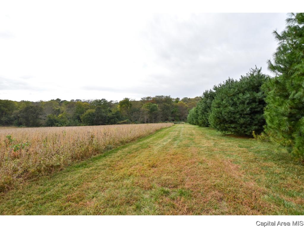 97 State Route Pleasant Plains, IL 62677 - Photo 4 of 4 Gallery Image 4