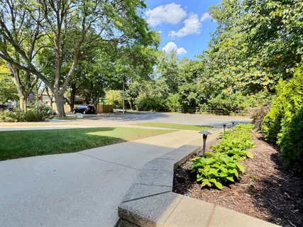 a view of a swimming pool and trees in the background