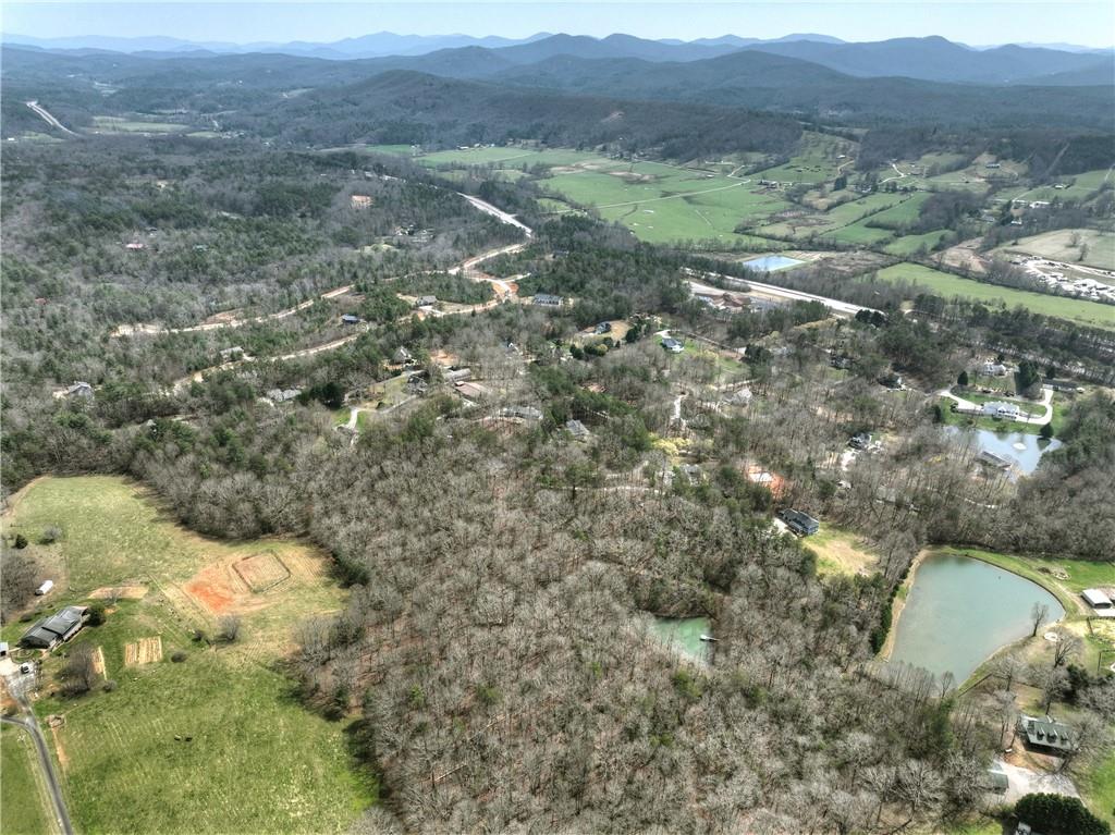 8.52 Ac Mcnelley Road Morganton, GA 30560 - Photo 11 of 59