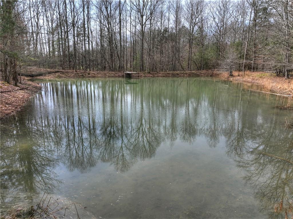8.52 Ac Mcnelley Road Morganton, GA 30560 - Photo 12 of 59