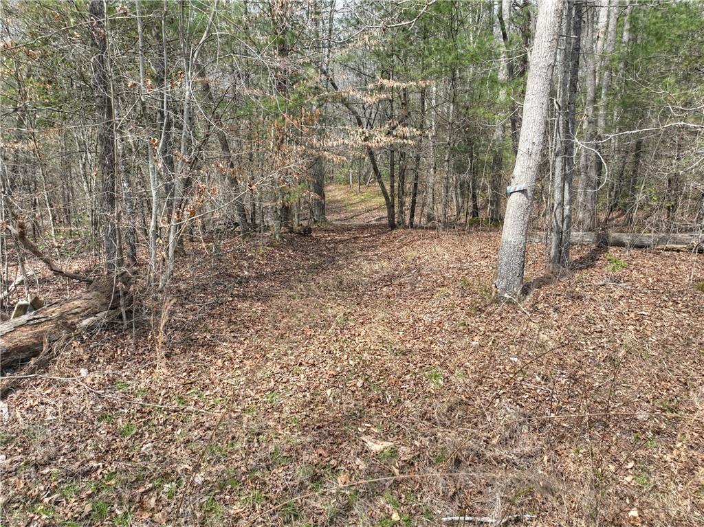 8.52 Ac Mcnelley Road Morganton, GA 30560 - Photo 13 of 59