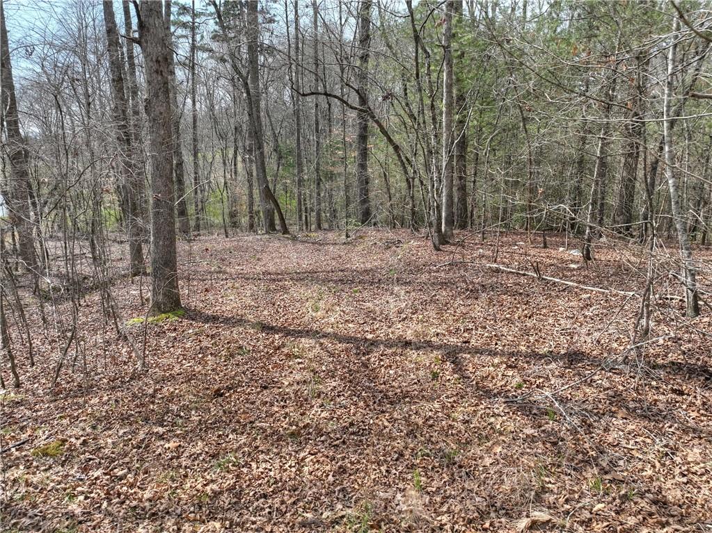 8.52 Ac Mcnelley Road Morganton, GA 30560 - Photo 14 of 59