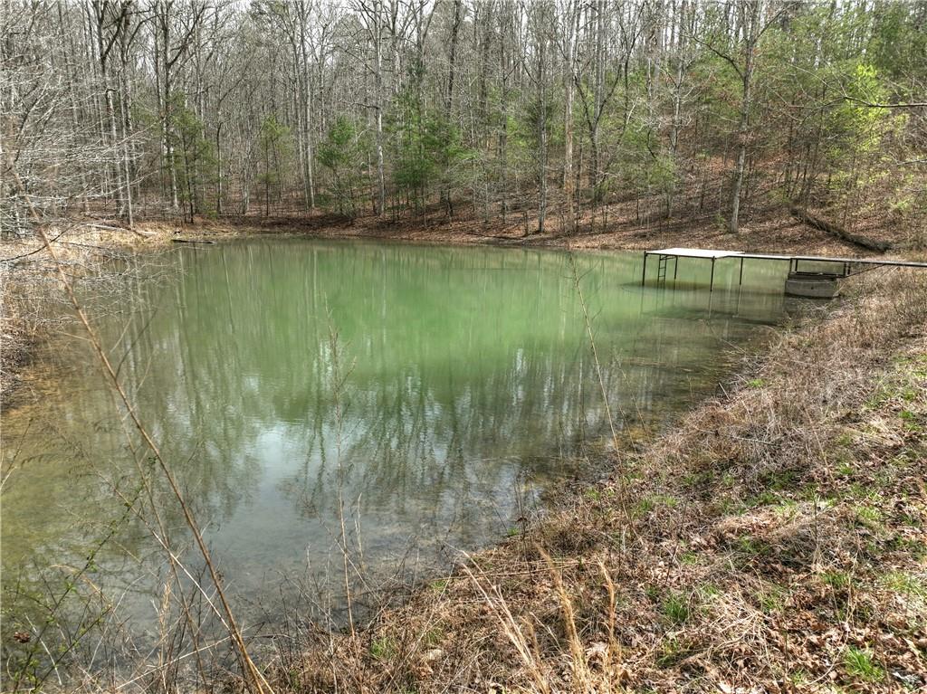 8.52 Ac Mcnelley Road Morganton, GA 30560 - Photo 15 of 59