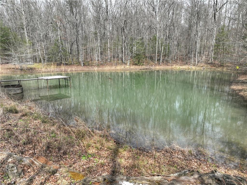 8.52 Ac Mcnelley Road Morganton, GA 30560 - Photo 16 of 59