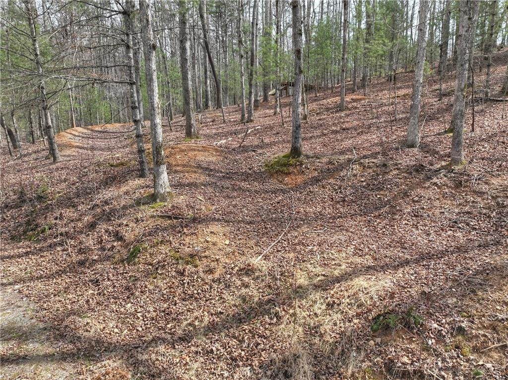 8.52 Ac Mcnelley Road Morganton, GA 30560 - Photo 17 of 59