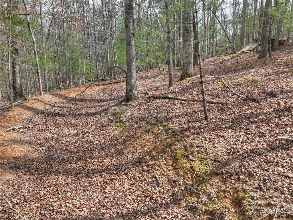 8.52 Ac Mcnelley Road Morganton, GA 30560 - Photo 18 of 59