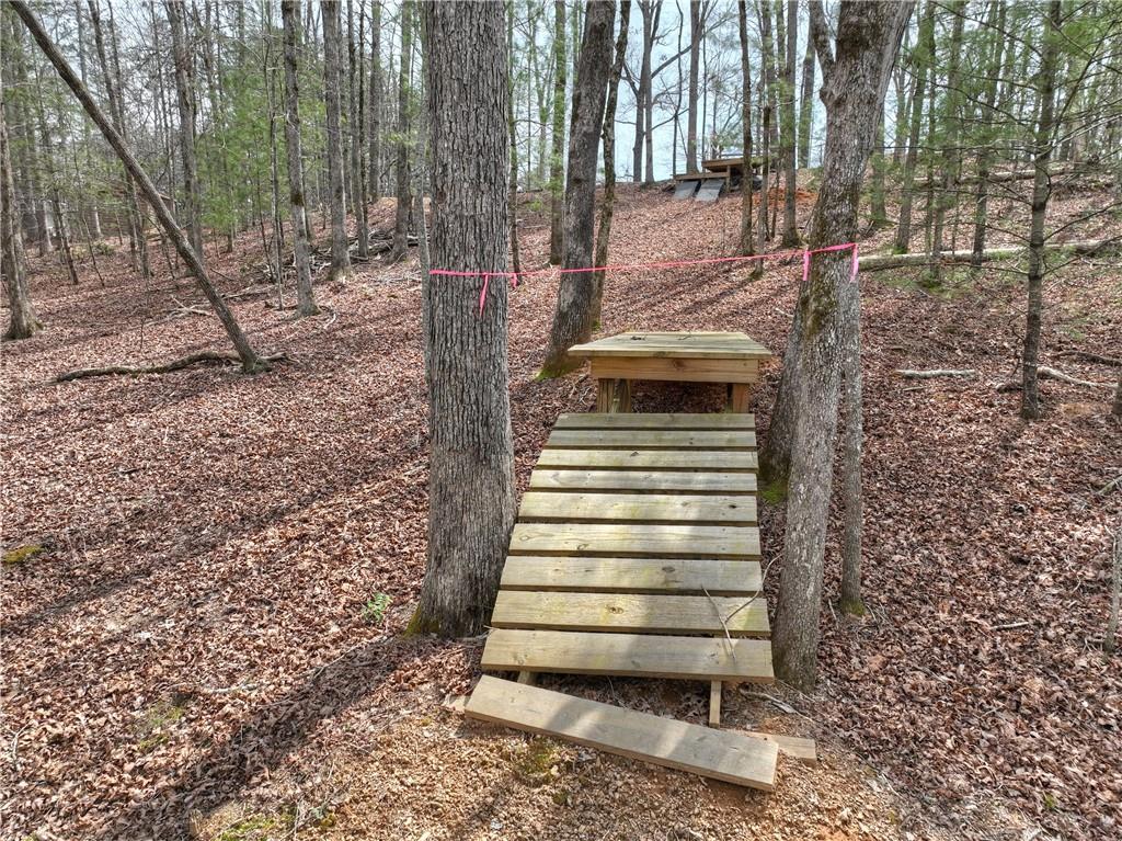 8.52 Ac Mcnelley Road Morganton, GA 30560 - Photo 19 of 59