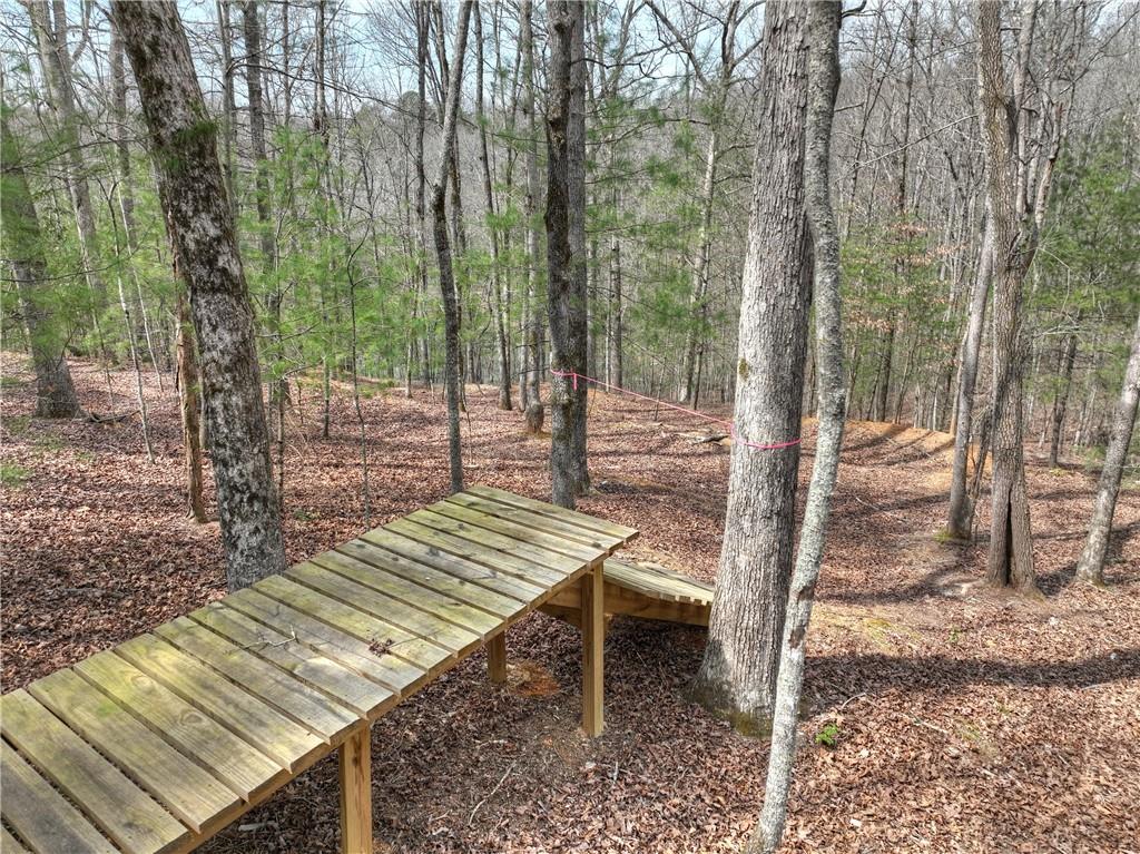 8.52 Ac Mcnelley Road Morganton, GA 30560 - Photo 20 of 59