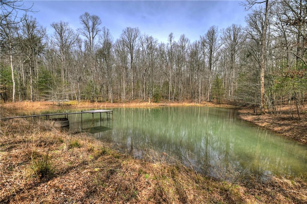 8.52 Ac Mcnelley Road Morganton, GA 30560 - Photo 2 of 59