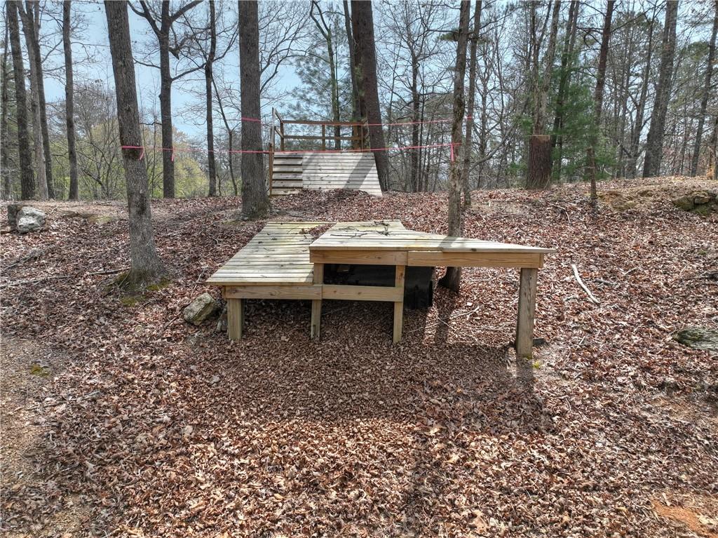 8.52 Ac Mcnelley Road Morganton, GA 30560 - Photo 21 of 59