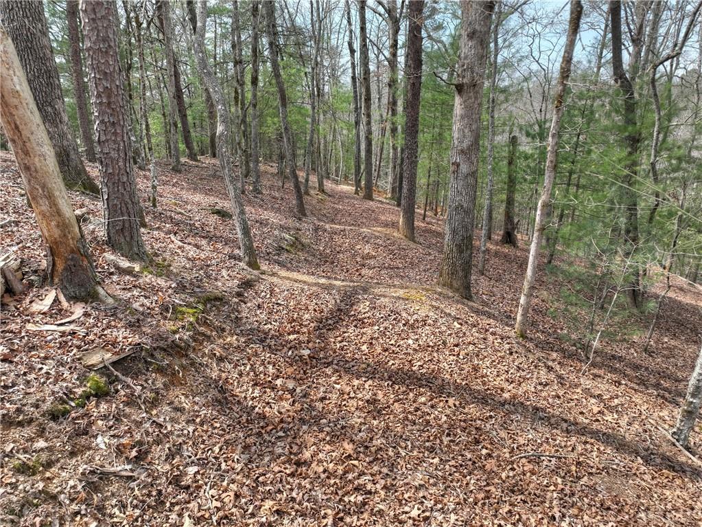 8.52 Ac Mcnelley Road Morganton, GA 30560 - Photo 22 of 59