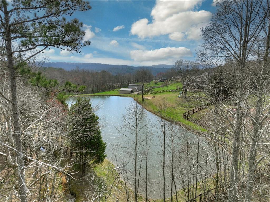 8.52 Ac Mcnelley Road Morganton, GA 30560 - Photo 23 of 59