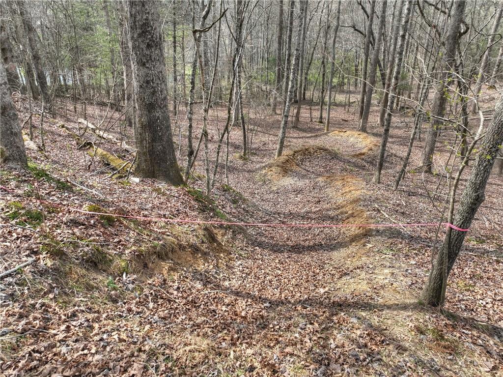 8.52 Ac Mcnelley Road Morganton, GA 30560 - Photo 25 of 59