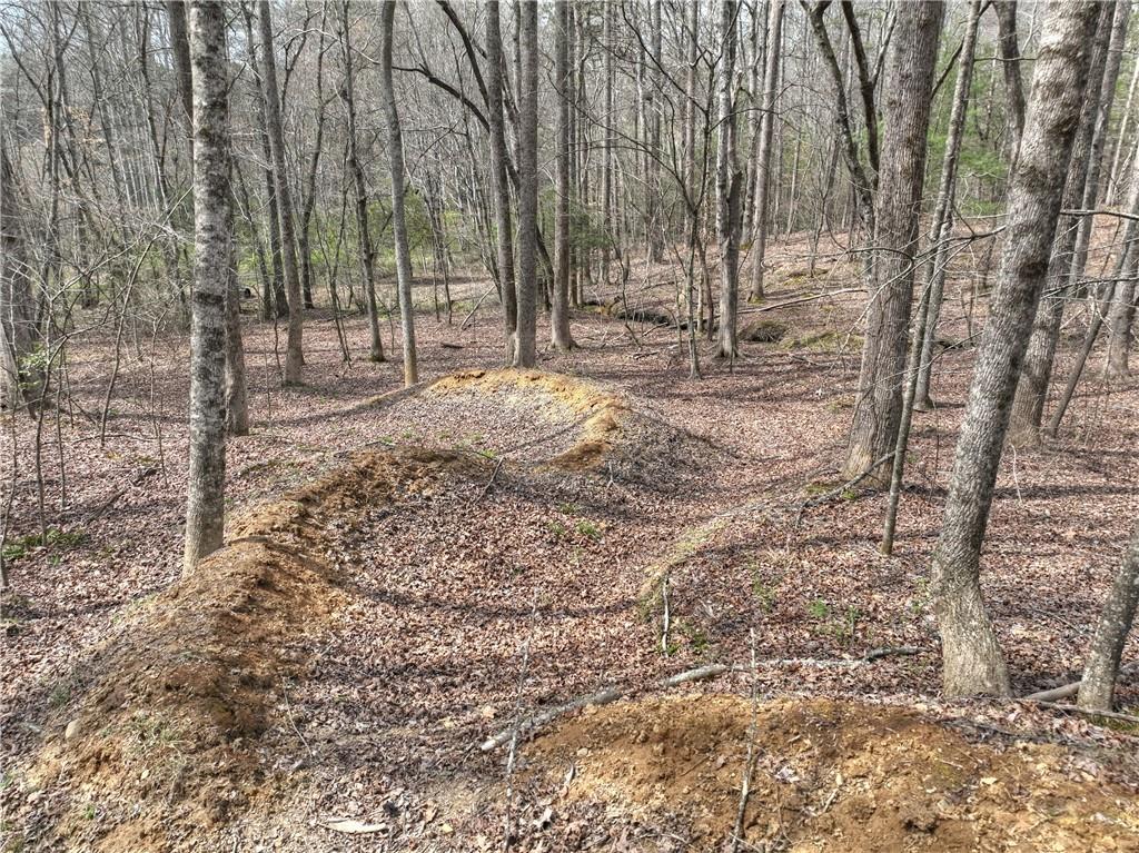 8.52 Ac Mcnelley Road Morganton, GA 30560 - Photo 26 of 59