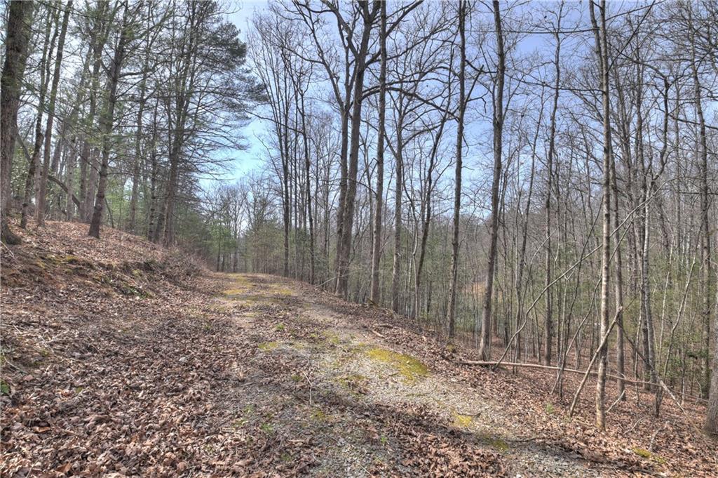 8.52 Ac Mcnelley Road Morganton, GA 30560 - Photo 28 of 59