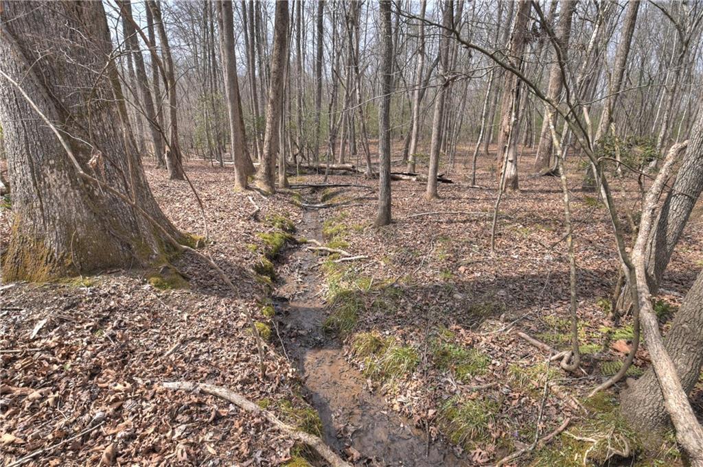 8.52 Ac Mcnelley Road Morganton, GA 30560 - Photo 29 of 59