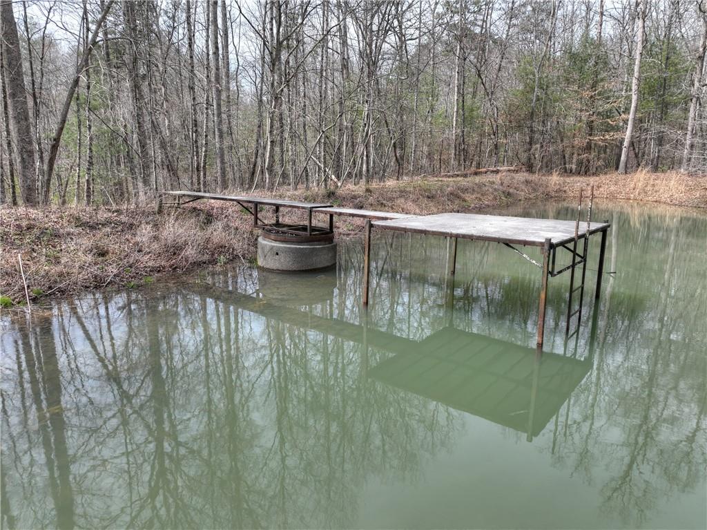 8.52 Ac Mcnelley Road Morganton, GA 30560 - Photo 3 of 59