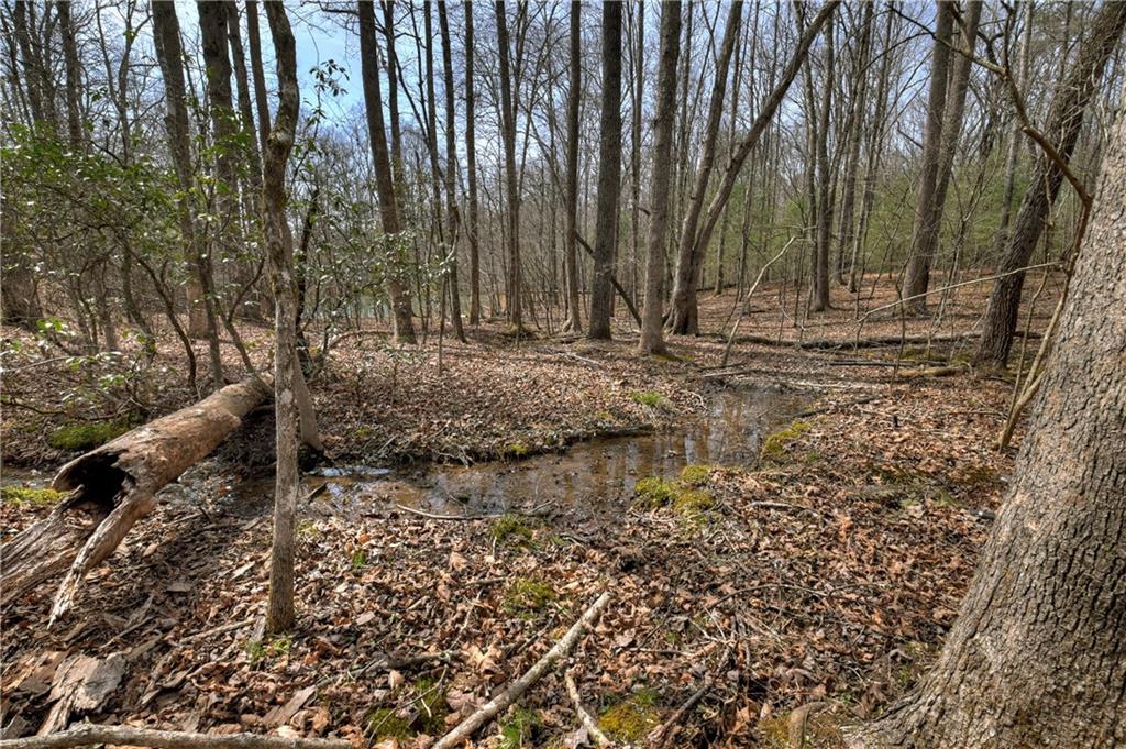8.52 Ac Mcnelley Road Morganton, GA 30560 - Photo 31 of 59