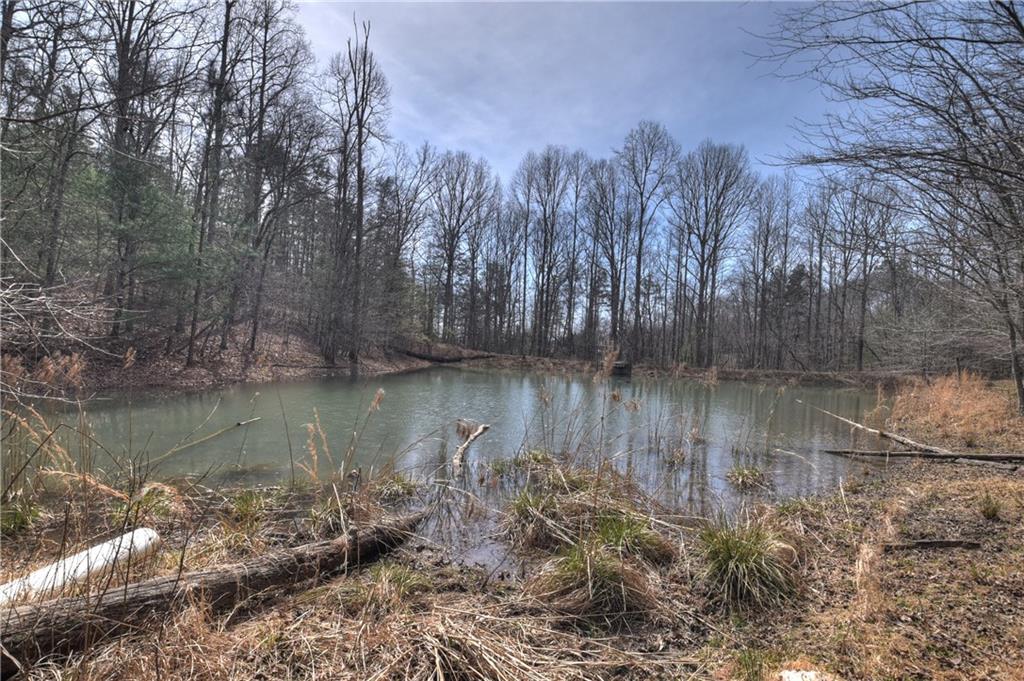 8.52 Ac Mcnelley Road Morganton, GA 30560 - Photo 33 of 59