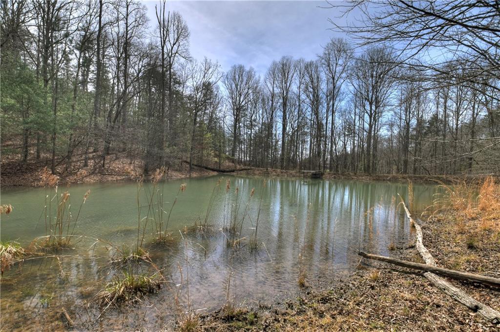 8.52 Ac Mcnelley Road Morganton, GA 30560 - Photo 34 of 59