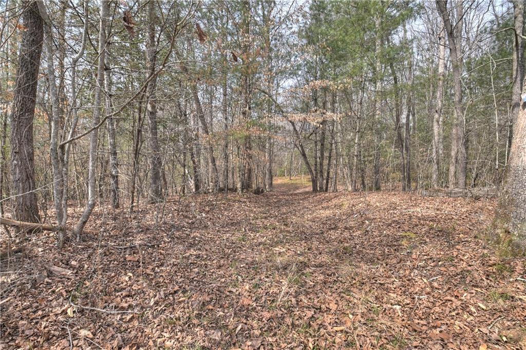 8.52 Ac Mcnelley Road Morganton, GA 30560 - Photo 35 of 59