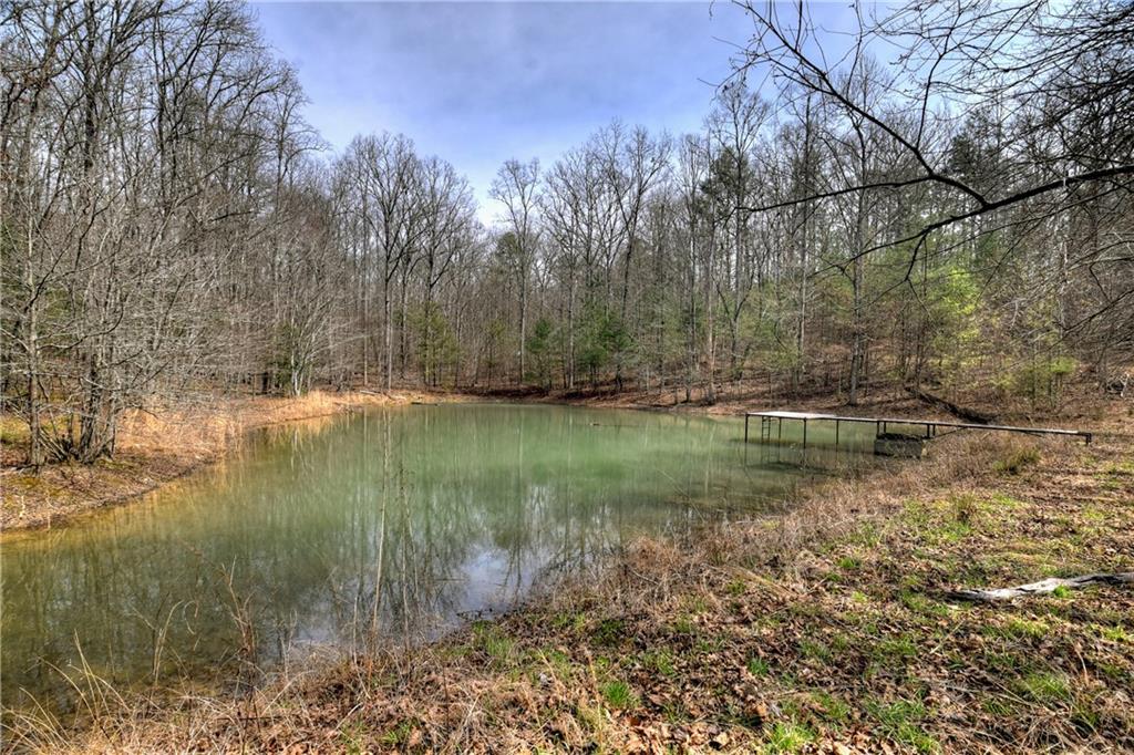 8.52 Ac Mcnelley Road Morganton, GA 30560 - Photo 36 of 59