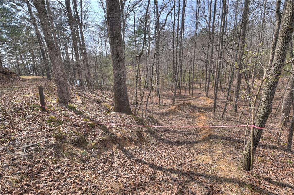 8.52 Ac Mcnelley Road Morganton, GA 30560 - Photo 37 of 59
