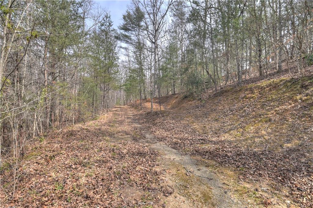 8.52 Ac Mcnelley Road Morganton, GA 30560 - Photo 38 of 59