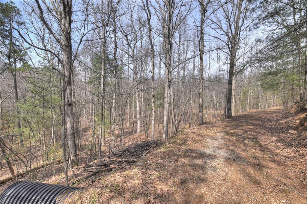8.52 Ac Mcnelley Road Morganton, GA 30560 - Photo 39 of 59