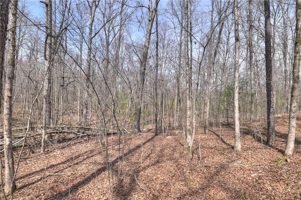8.52 Ac Mcnelley Road Morganton, GA 30560 - Photo 40 of 59