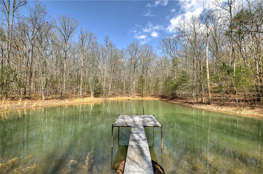 8.52 Ac Mcnelley Road Morganton, GA 30560 - Photo 4 of 59