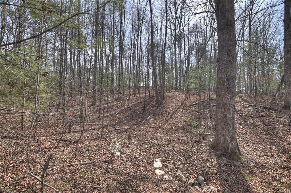 8.52 Ac Mcnelley Road Morganton, GA 30560 - Photo 41 of 59