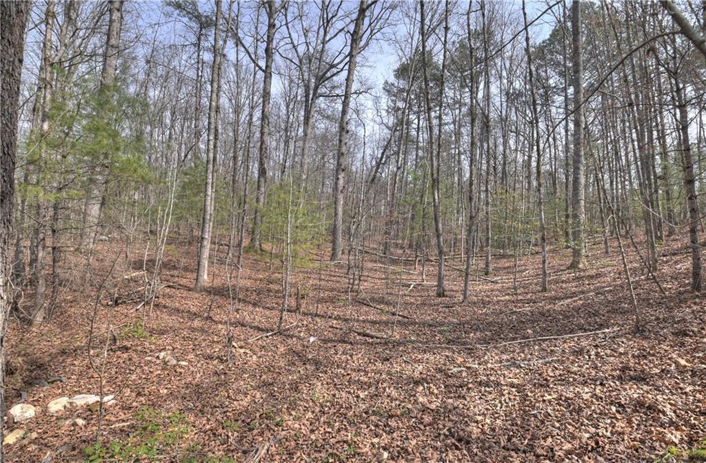 8.52 Ac Mcnelley Road Morganton, GA 30560 - Photo 42 of 59