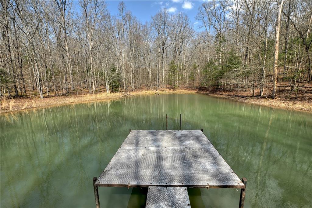 8.52 Ac Mcnelley Road Morganton, GA 30560 - Photo 43 of 59