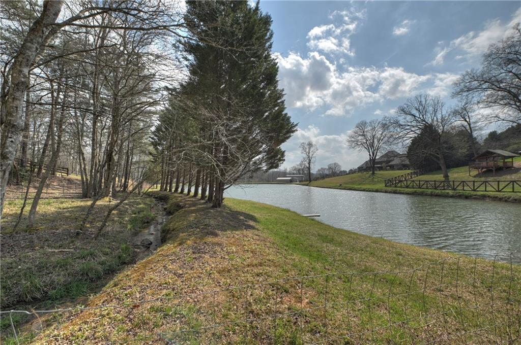 8.52 Ac Mcnelley Road Morganton, GA 30560 - Photo 44 of 59