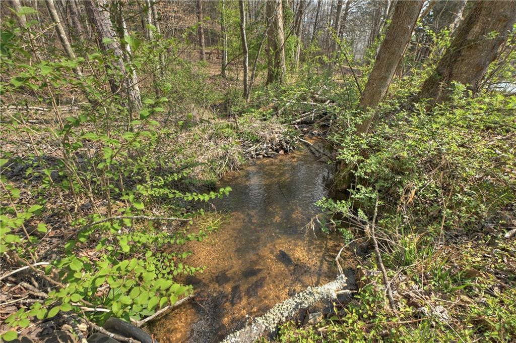 8.52 Ac Mcnelley Road Morganton, GA 30560 - Photo 45 of 59