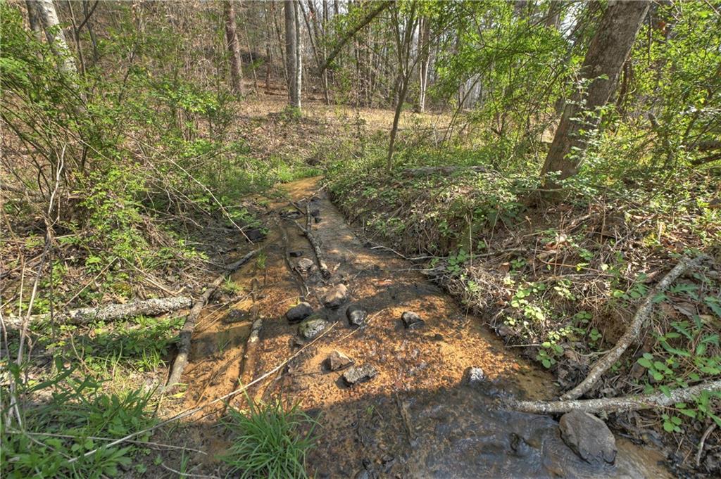 8.52 Ac Mcnelley Road Morganton, GA 30560 - Photo 46 of 59