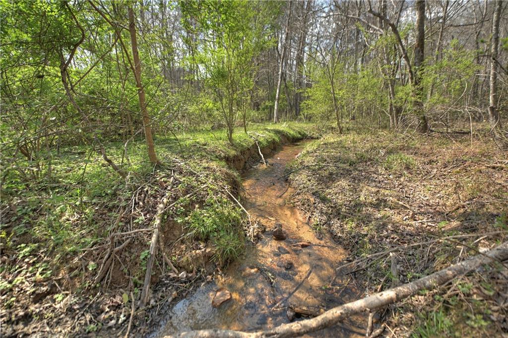 8.52 Ac Mcnelley Road Morganton, GA 30560 - Photo 47 of 59