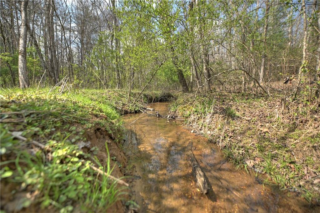 8.52 Ac Mcnelley Road Morganton, GA 30560 - Photo 48 of 59