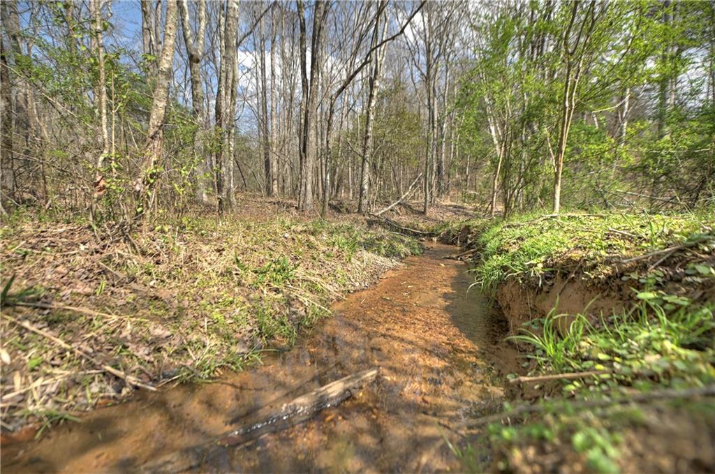 8.52 Ac Mcnelley Road Morganton, GA 30560 - Photo 49 of 59