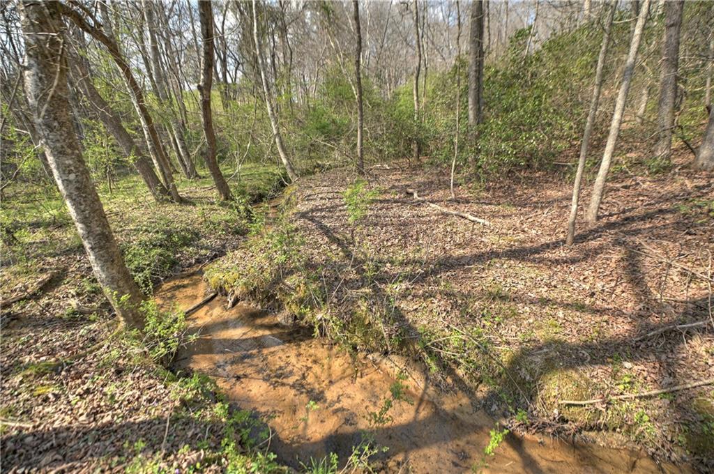 8.52 Ac Mcnelley Road Morganton, GA 30560 - Photo 50 of 59