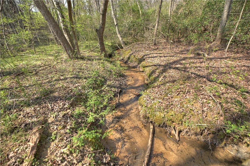 8.52 Ac Mcnelley Road Morganton, GA 30560 - Photo 51 of 59