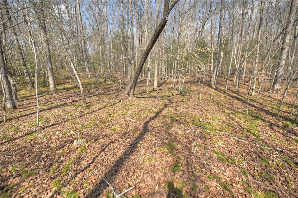8.52 Ac Mcnelley Road Morganton, GA 30560 - Photo 52 of 59